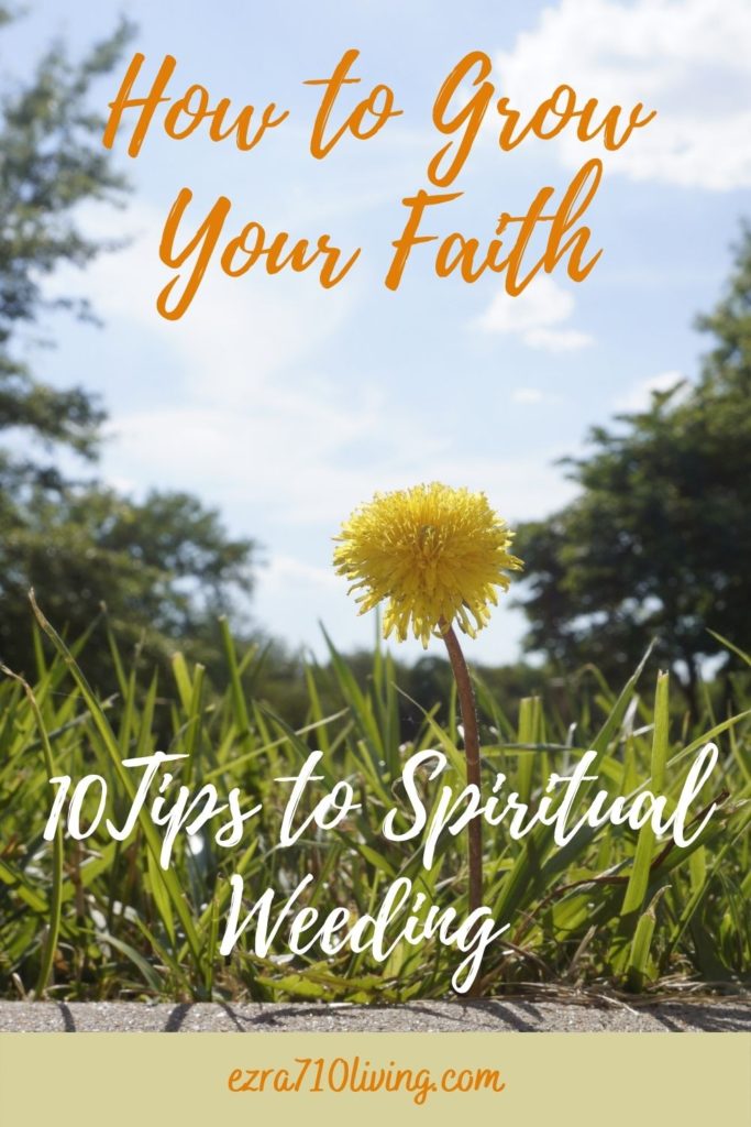 Pinterest image for how to grow your faith article